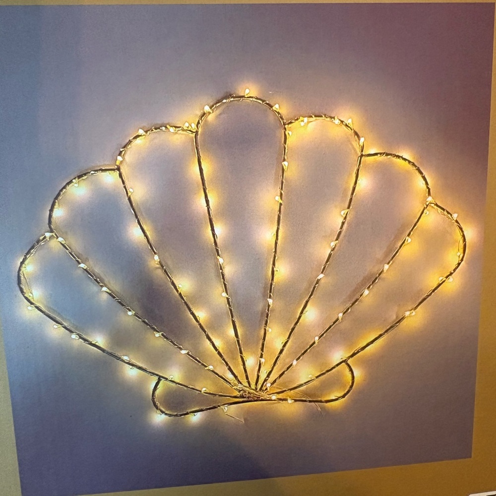 Tilly's Warm White Shell String Lights